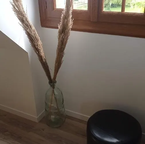 La Bella 12 - D'hotes Sdb Privative Bordeaux-Saint-Clair